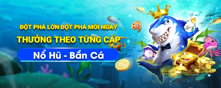 Khám Phá Thế Giới Bóng Đá Qua 